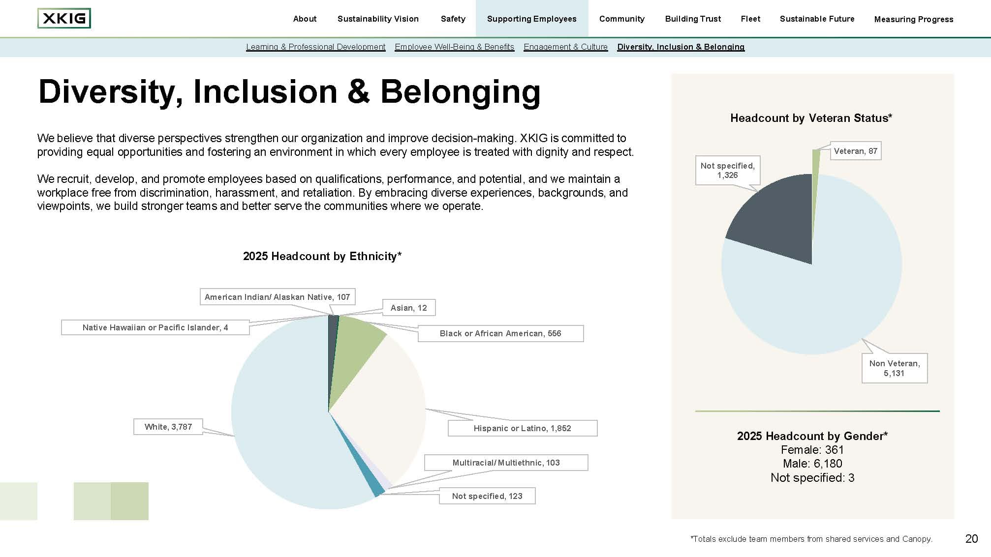 Diversity, Inclusion and Belonging spread with data visualizations