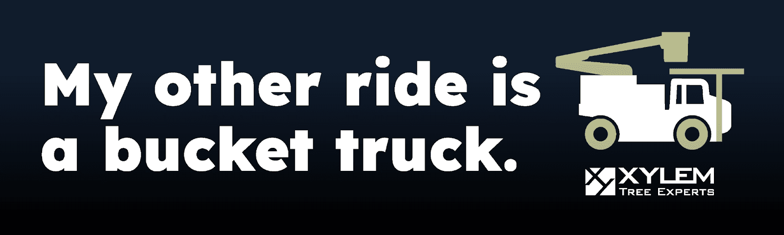 First bumper sticker strip from the original case study